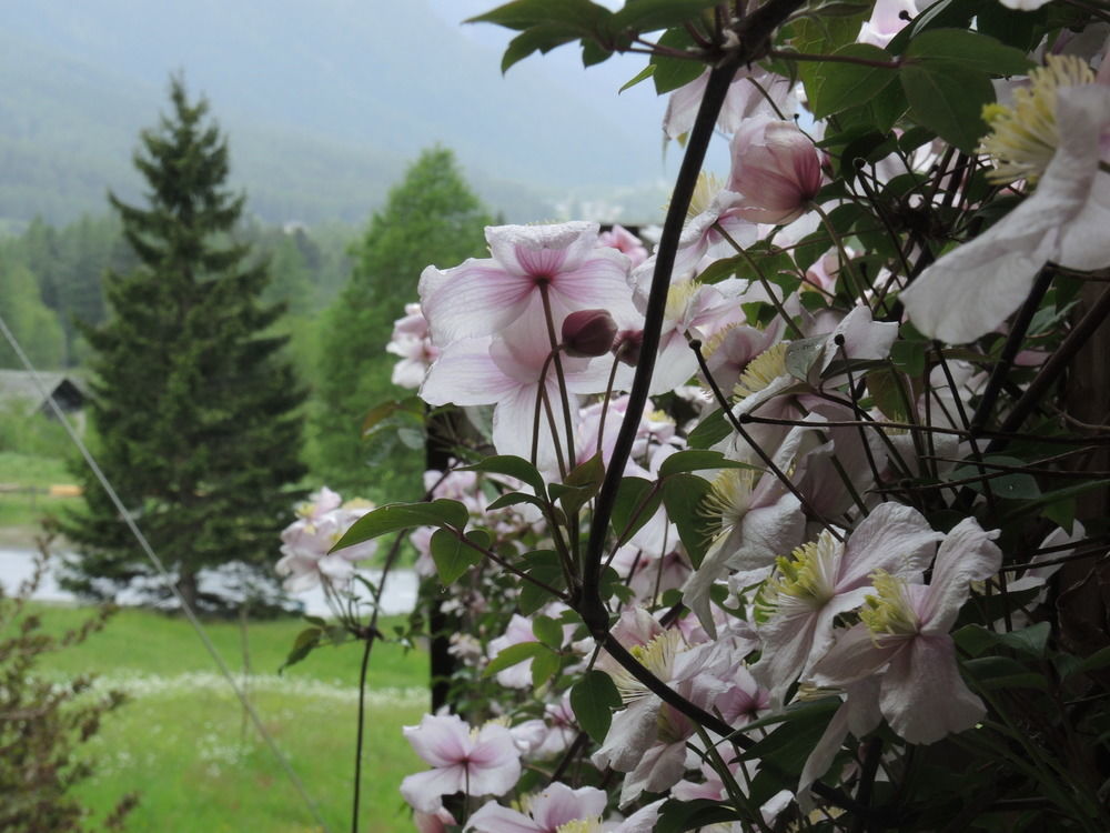 B&B Pranzaira Vicosoprano Bagian luar foto